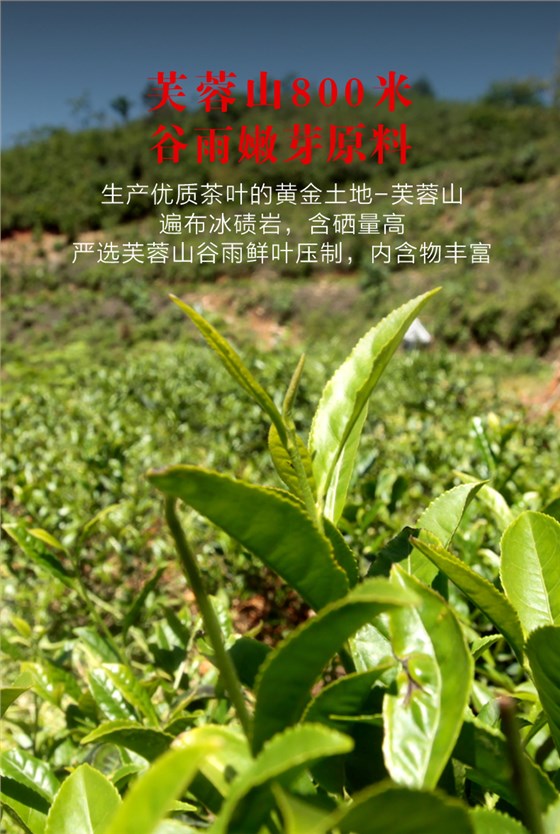 黑茶加盟,黑茶廠家,黑茶定制,黑茶批發(fā),黑茶代理 (4)