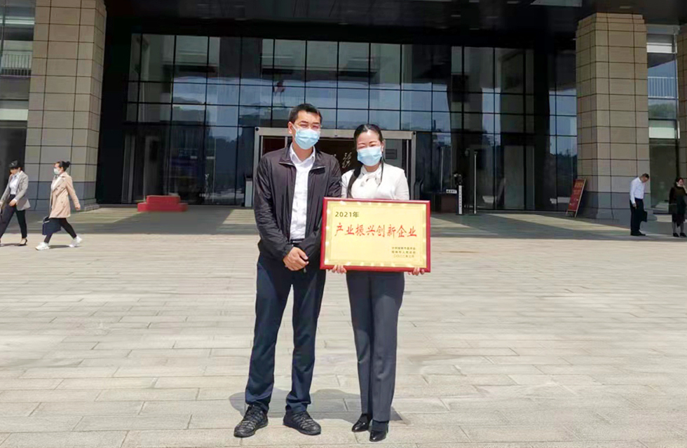 實(shí)力彰顯！全市工業(yè)振興大會(huì)召開，桂林鴻程斬獲多項(xiàng)榮譽(yù)