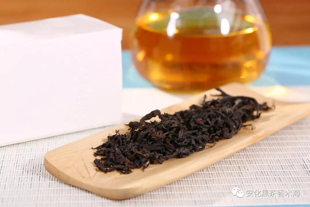 安化黑茶有茶梗，關(guān)于茶梗你知道多少？