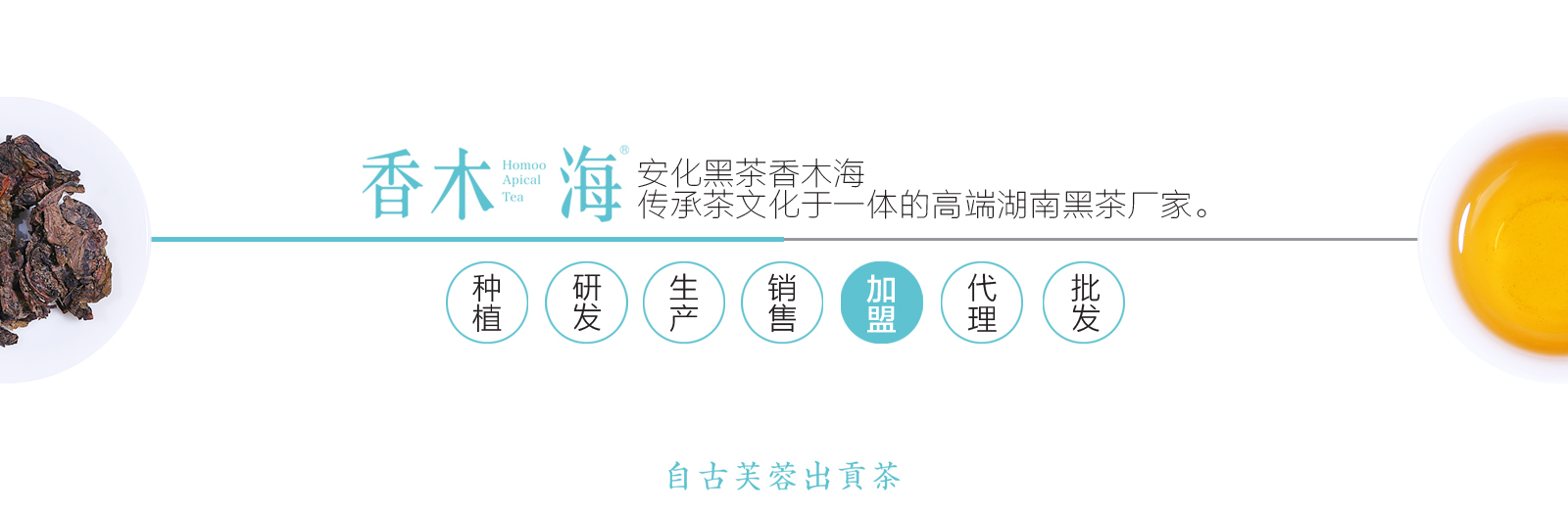 香木海，建好茶的標(biāo)準(zhǔn)，做黑茶的代表，為人類(lèi)健康服務(wù)。